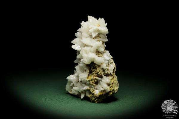 Gypsum XX (12644) a mineral from Romania | Minerals | From Germany