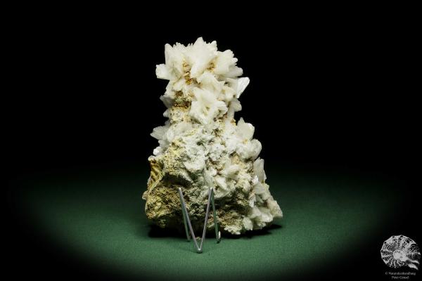 Gypsum XX (12644) a mineral from Romania | Minerals | From Germany