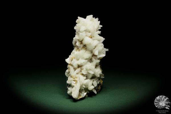 Gypsum XX (12644) a mineral from Romania | Minerals | From Germany