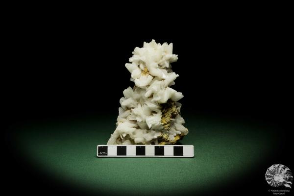 Gypsum XX (12644) a mineral from Romania | Minerals | From Germany