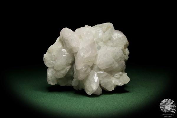 Datolith XX (12645) ein Mineral aus Russland | Mineralien | Weltweit