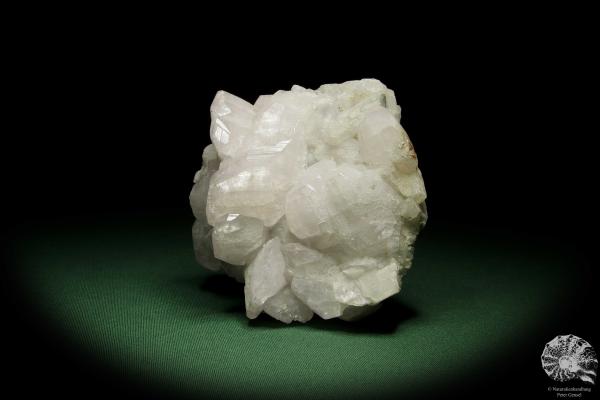 Datolith XX (12645) ein Mineral aus Russland | Mineralien | Weltweit