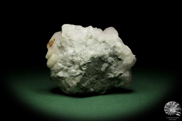 Datolith XX (12645) ein Mineral aus Russland | Mineralien | Weltweit