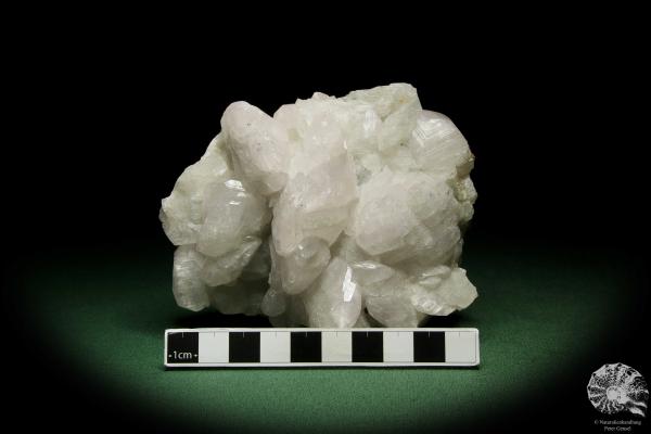 Datolite XX (12645) a mineral from Russia | Minerals | Global