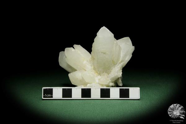 Quartz XX (12647) a mineral from Romania | Minerals | Global