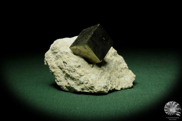 Pyrite XX in Clay Slate (12655) a mineral from Spain | Minerals | Global