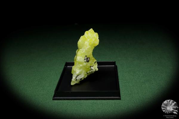 Brucit XX (12858) ein Mineral aus Pakistan | Mineralien | Weltweit