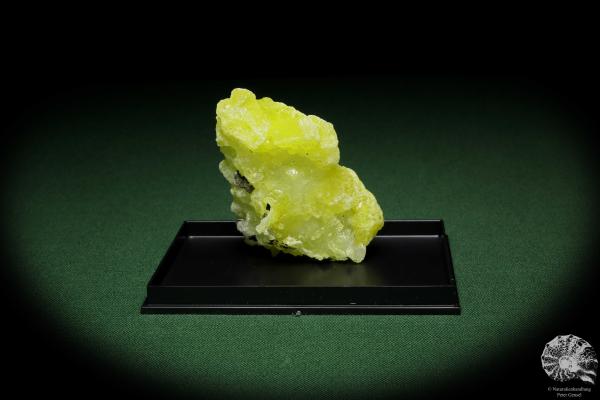 Brucit XX (12858) ein Mineral aus Pakistan | Mineralien | Weltweit