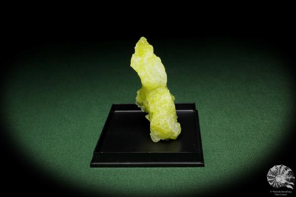 Brucit XX (12858) ein Mineral aus Pakistan | Mineralien | Weltweit