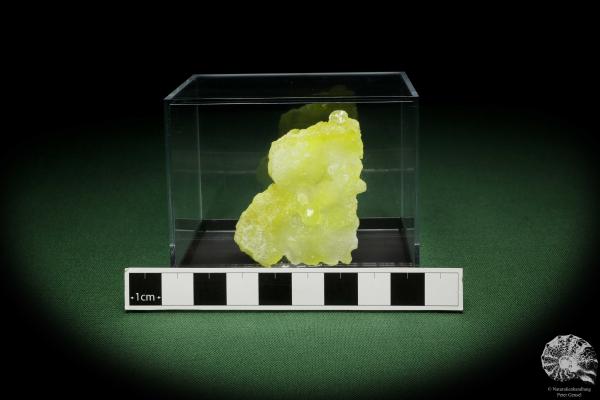 Brucite XX (12858) a mineral from Pakistan | Minerals | Global