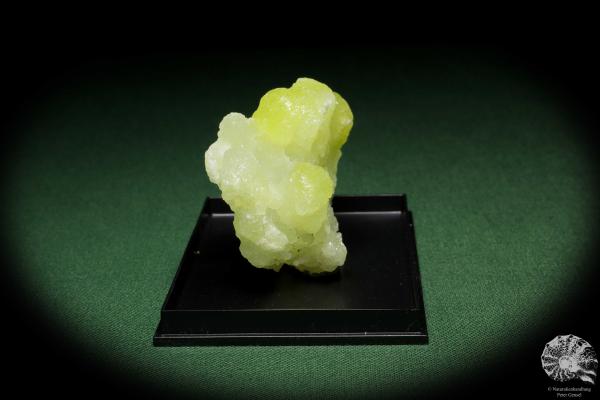 Brucit XX (12859) ein Mineral aus Pakistan | Mineralien | Weltweit