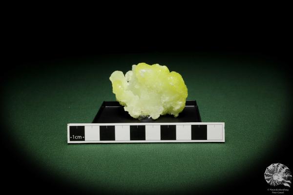 Brucite XX (12859) a mineral from Pakistan | Minerals | Global