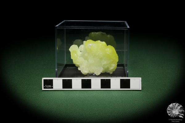 Brucite XX (12859) a mineral from Pakistan | Minerals | Global