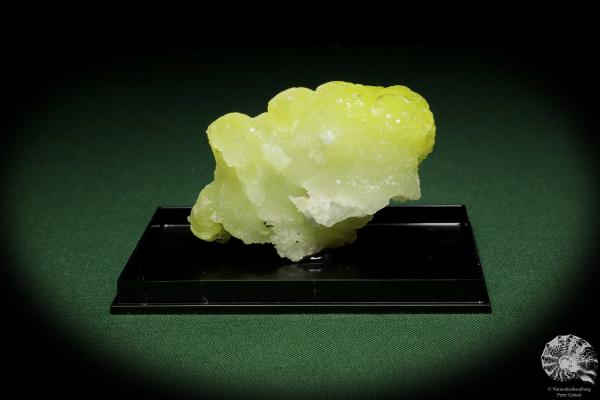 Brucit XX (12860) ein Mineral aus Pakistan | Mineralien | Weltweit