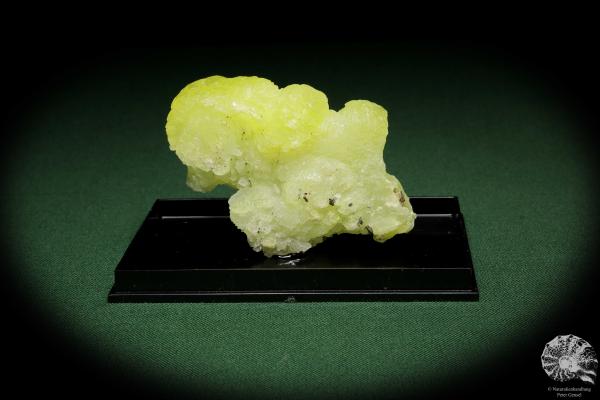 Brucit XX (12860) ein Mineral aus Pakistan | Mineralien | Weltweit