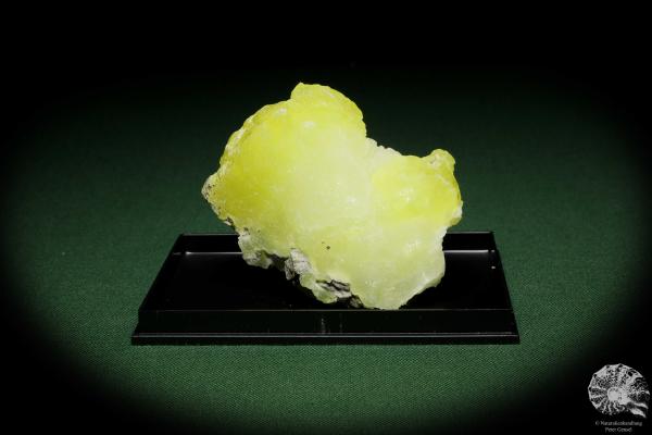 Brucite XX (12861) a mineral from Pakistan | Minerals | Global