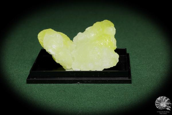 Brucite XX (12863) a mineral from Pakistan | Minerals | Global