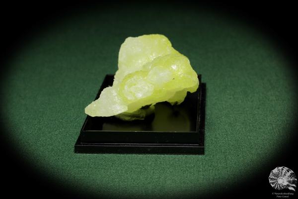 Brucit XX (12863) ein Mineral aus Pakistan | Mineralien | Weltweit