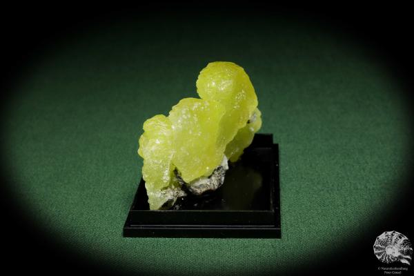 Brucite XX (12864) a mineral from Pakistan | Minerals | Global