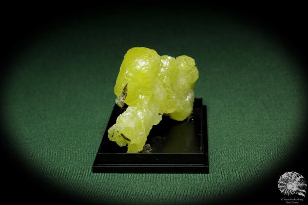 Brucite XX (12864) a mineral from Pakistan | Minerals | Global