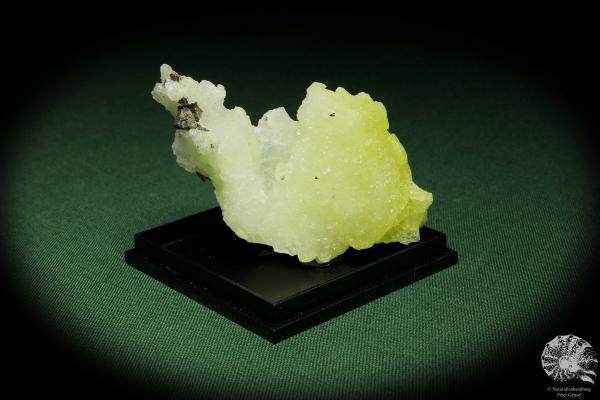 Brucite XX (12866) a mineral from Pakistan | Minerals | Global