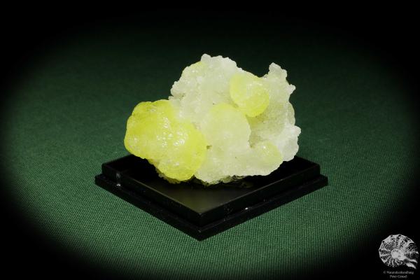 Brucit XX (12867) ein Mineral aus Pakistan | Mineralien | Weltweit