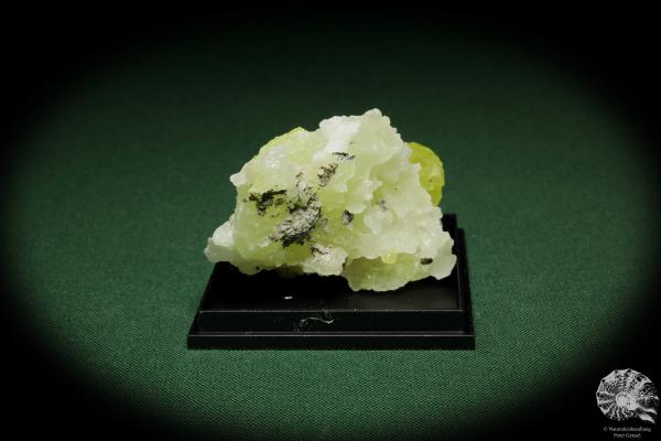 Brucite XX (12867) a mineral from Pakistan | Minerals | Global