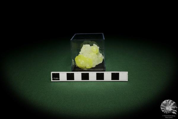 Brucite XX (12867) a mineral from Pakistan | Minerals | Global