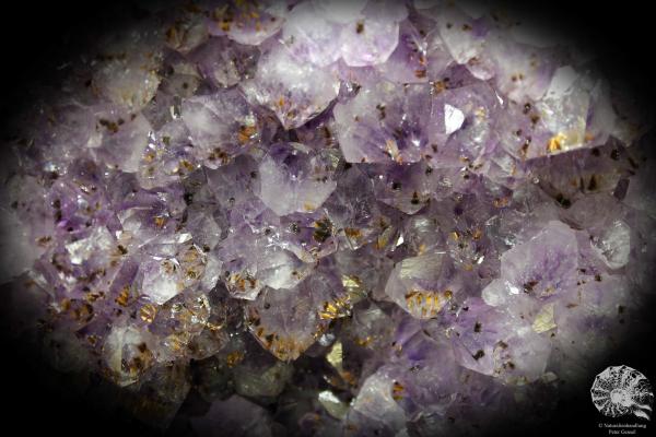 Amethyste XX with Goethite XX (1338) a mineral from Brazil | Minerals | Global