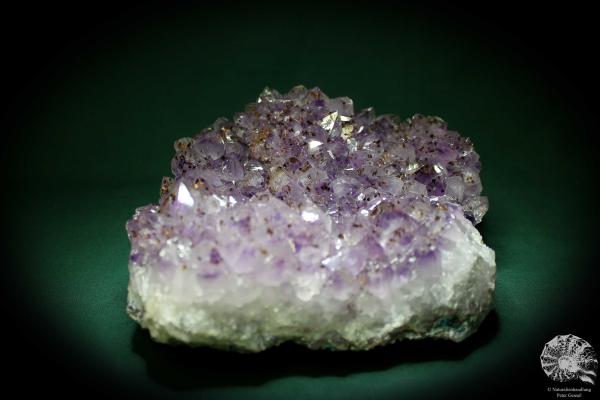 Amethyst XX mit Goethit XX (1338) ein Mineral aus Brasilien | Mineralien | Weltweit