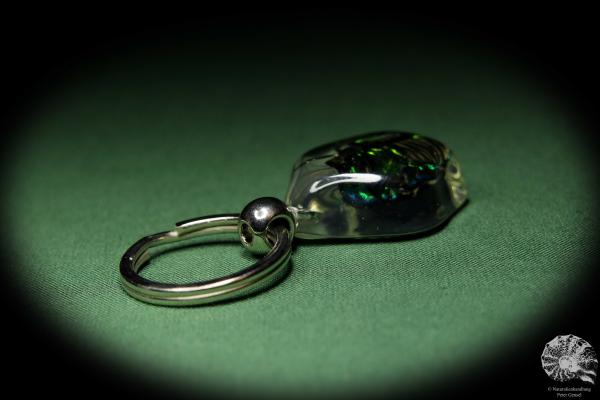 Protaetia spec. (13659) a gem from Acrylic from Southeast Asia | Nature jewelry | From Acrylic