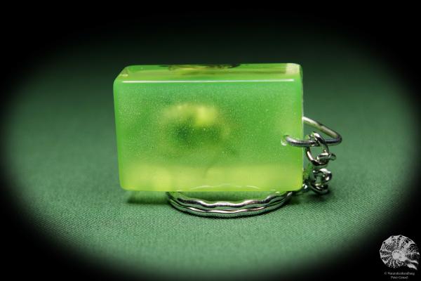 Popillia japonica (13679) a gem from Acrylic from Japan | Nature jewelry | From Acrylic