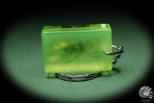 Vespa spec. (13693) a gem from Acrylic from Southeast Asia | Nature jewelry | From Acrylic