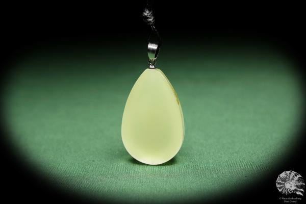 Olivierus martensii (13848) a gem from Acrylic from China | Nature jewelry | From Acrylic