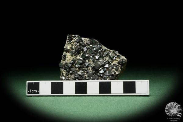 Magnetite XX (14402) a mineral from Bolivia | Minerals | Global