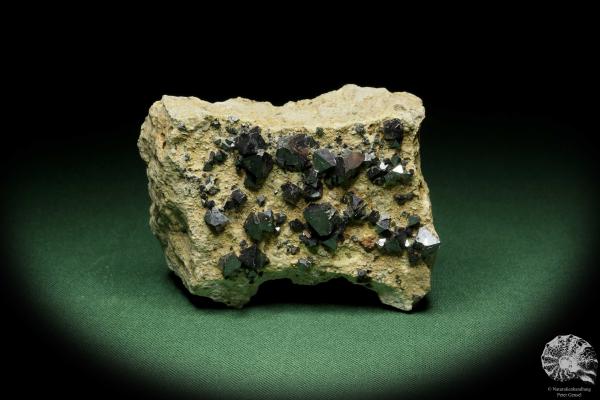 Magnetite XX (14405) a mineral from Bolivia | Minerals | Global