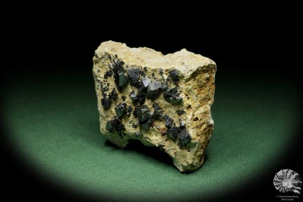 Magnetite XX (14405) a mineral from Bolivia | Minerals | Global