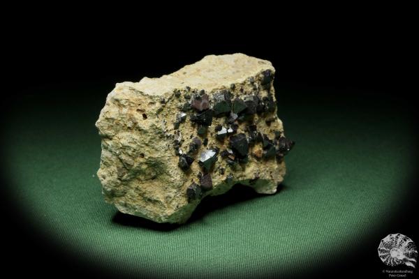 Magnetite XX (14405) a mineral from Bolivia | Minerals | Global