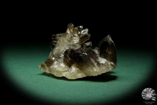 Rauchquarz XX (15041) ein Mineral aus Kasachstan | Mineralien | Weltweit