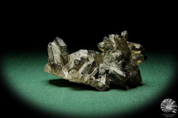 Rauchquarz XX (15041) ein Mineral aus Kasachstan | Mineralien | Weltweit