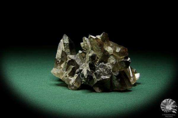 Rauchquarz XX (15041) ein Mineral aus Kasachstan | Mineralien | Weltweit