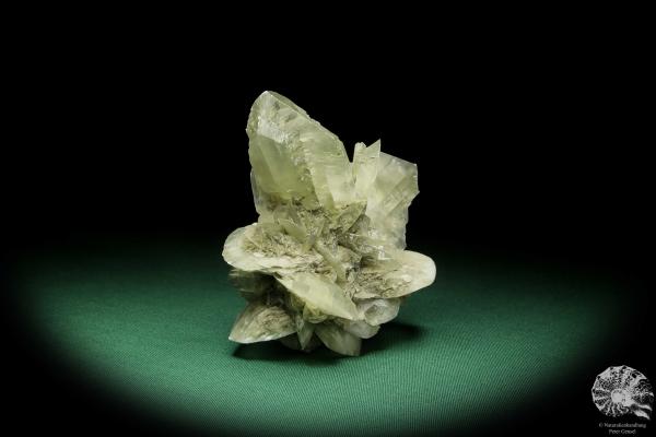 Gypsum XX (15045) a mineral from Germany | Minerals | From Germany