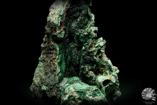 Malachite XX on Malachite & Limonite & Kaolinte (15055) a mineral from Africa | Minerals | Global