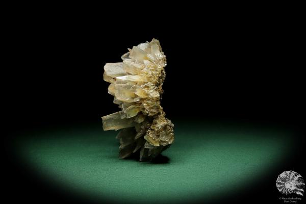 Baryte XX (15057) a mineral from Germany | Minerals | From Germany