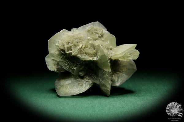 Gips XX (15058) ein Mineral aus Deutschland | Mineralien | aus Deutschland