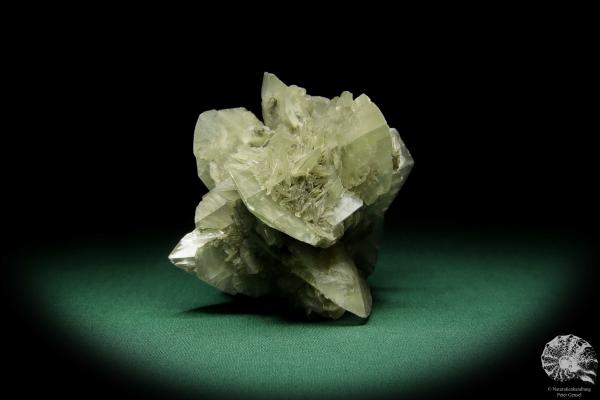 Gypsum XX (15058) a mineral from Germany | Minerals | From Germany