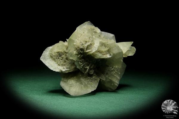 Gypsum XX (15058) a mineral from Germany | Minerals | From Germany