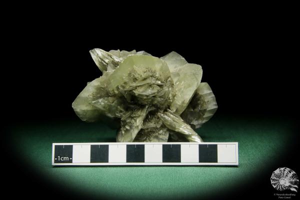 Gypsum XX (15058) a mineral from Germany | Minerals | From Germany