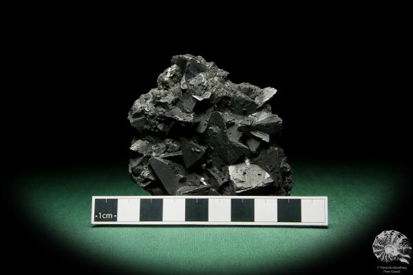 Tetraedrit XX (15064) ein Mineral aus Südamerika | Mineralien | Weltweit