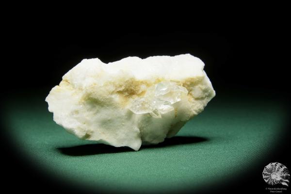 Quarz XX auf Marmor (15070) ein Mineral aus Italien | Mineralien | Weltweit